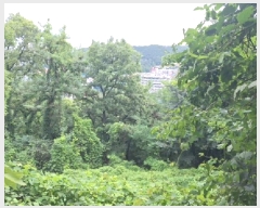  2025Ÿ��510510  �Ӿ߰��