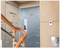  2025Ÿ��512439  �ټ���(����)���