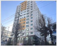  2025Ÿ��501211  ���ǽ��ڰ��