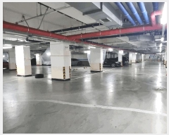  2025Ÿ��502320  ���ǽ��ڰ��