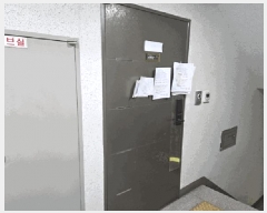  2025Ÿ506155 õ Ȧ ǵ 169-25  12 1203ȣ    ǽڰ