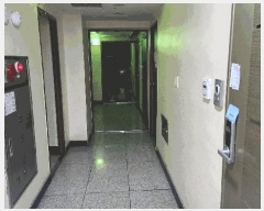  2025Ÿ507234 õ Ȧ ǵ 146-30 121205ȣ      ǽڰ