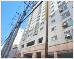  2025Ÿ��507364  ���ǽ��ڰ��