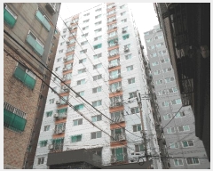  2025Ÿ��507720  ���ǽ��ڰ��