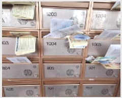  2025Ÿ508105 õ Ȧ ǵ 1-33 ī̽Ʈ 101004ȣ     ǽڰ