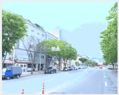  2025Ÿ��508957 ��õ ���� �˾ϵ� 662-6 ���̳��� 3��301ȣ     �ټ���,������