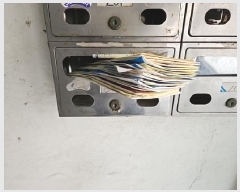  2025Ÿ��509664  �ټ���(����)���