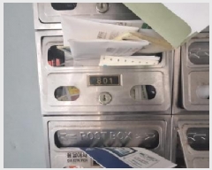  2025Ÿ509744 õ Ȧ ȭ 391-2 ＺŸ 8801ȣ     ǽڰ