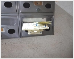  2025Ÿ509834 õ Ȧ ǵ 146-28 ҸƼ 102 5502ȣ    ټ,