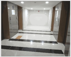  2025Ÿ��509850  ���ǽ��ڰ��