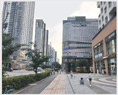  2025Ÿ��509850  ���ǽ��ڰ��