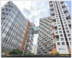  2025Ÿ��509850  ���ǽ��ڰ��