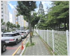  2025Ÿ��510029  ���ǽ��ڰ��