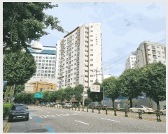  2025Ÿ��511207  ���ǽ��ڰ��