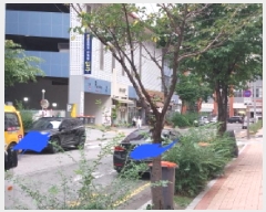  2025Ÿ��512183  ���ǽ��ڰ��