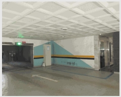  2025Ÿ��512657  ���ǽ��ڰ��