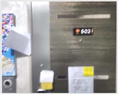  2025Ÿ��512833  �ټ���(����)���