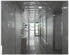  2025Ÿ��512916 ��õ ������ ������ 1124-5 ��ġĳ�� 2��216ȣ     ���ǽ��ڰ��