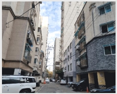  2025Ÿ��513556  ���ǽ��ڰ��