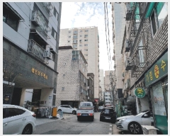  2025Ÿ��513556  ���ǽ��ڰ��