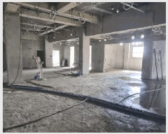  2025Ÿ��735  �����ڽü����