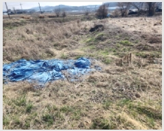  2025Ÿ��824 ��õ ��ȭ�� ������ �Ｚ�� 964-7      ����(��)���