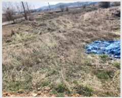  2025Ÿ��824 ��õ ��ȭ�� ������ �Ｚ�� 964-7      ����(��)���