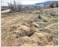  2025Ÿ��824 ��õ ��ȭ�� ������ �Ｚ�� 964-7      ����(��)���