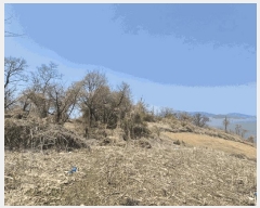  2025Ÿ503934 õ ȭ ȭ  350      (Ӿ)