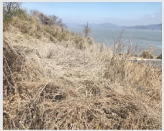  2025Ÿ503934 õ ȭ ȭ  350      (Ӿ)