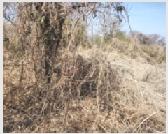  2025Ÿ503934 õ ȭ ȭ  350      (Ӿ)