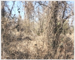  2025Ÿ503934 õ ȭ ȭ  350      (Ӿ)