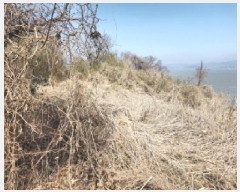  2025Ÿ503934 õ ȭ ȭ  350      (Ӿ)