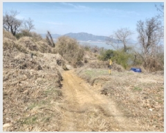  2025Ÿ503934 õ ȭ ȭ  350      (Ӿ)