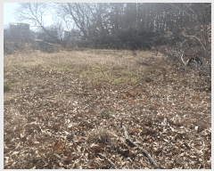  2025Ÿ��507873 ��õ �߱� ������ 638       ����(��1)���