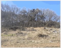  2025Ÿ��507873 ��õ �߱� ������ 638       ����(��1)���