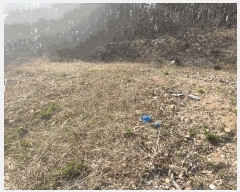  2025Ÿ��507873 ��õ �߱� ������ 638       ����(��1)���