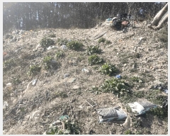  2025Ÿ��507873 ��õ �߱� ������ 638       ����(��1)���