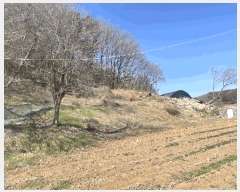  2025Ÿ��507873 ��õ �߱� ������ 638       ����(��1)���