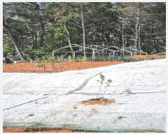  2025Ÿ��507941 ��õ �߱� ��� 1310-8       ����(������)���