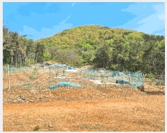  2025Ÿ��507941 ��õ �߱� ��� 1310-8       ����(������)���