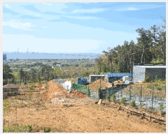  2025Ÿ��507941 ��õ �߱� ��� 1310-8       ����(������)���