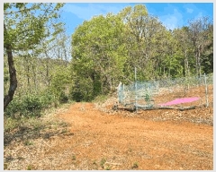  2025Ÿ��507941 ��õ �߱� ��� 1310-8       ����(������)���