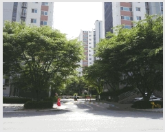  2025Ÿ��509386 ��õ ���� ���絿 823-1 �����������̾���Ʈ 706�� 7��705ȣ    ����Ʈ���