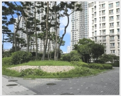  2025Ÿ��510894 ��õ ����Ȧ�� ������ 664 ��õ�������̽�ī�̺� 122�� 33��3302ȣ    ����Ʈ���
