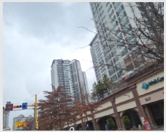  2025Ÿ806 õ   601-1  īƼ 1002 212104ȣ   Ʈ