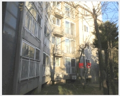  2025Ÿ827 õ   23 Եĳ 1110 1103ȣ    Ʈ