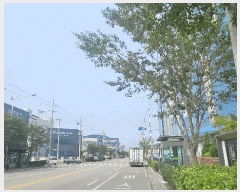  2025Ÿ��1200 ��õ ���� ������ 1656-1 ������ 10������-1013ȣ     ����Ʈ��������