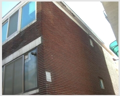  2025Ÿ500096 õ   1238-8       ٰð