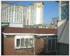  2025Ÿ500096 õ   1238-8       ٰð